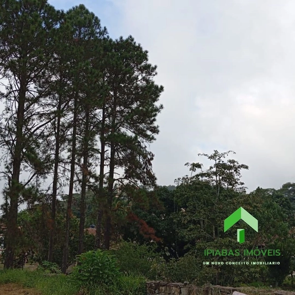 🌱 Terreno a venda em Ipiabas, com 600 m2: 14ª foto da galeria de imagens do imóvel