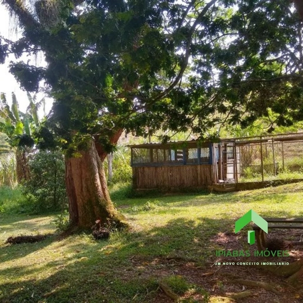Sitio com 2 Casas, Piscina, Área Gourmet, Pasto, Plantio de Eucalipto com 16 Alqueires: 10ª foto da galeria de imagens do imóvel