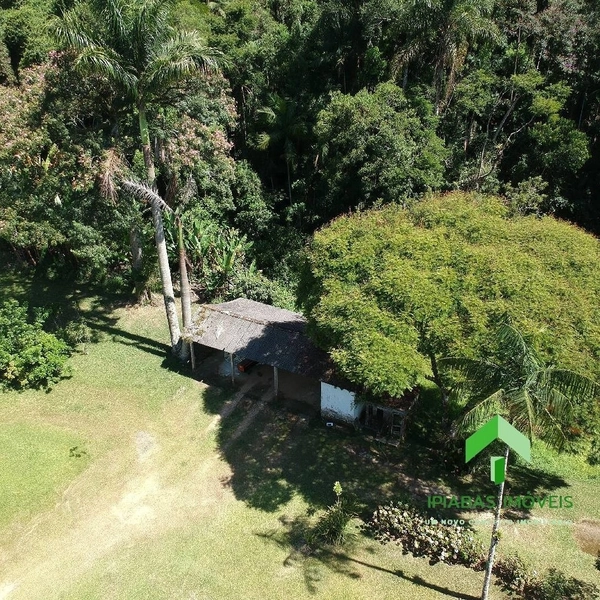 Sitio com 2 Casas, Piscina, Área Gourmet, Pasto, Plantio de Eucalipto com 16 Alqueires: 13ª foto da galeria de imagens do imóvel