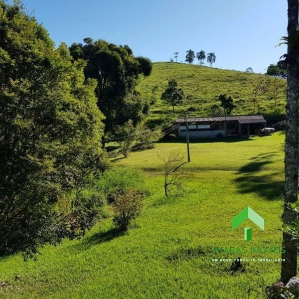 Sitio com 2 Casas, Piscina, Área Gourmet, Pasto, Plantio de Eucalipto com 16 Alqueires: 2ª foto da galeria de imagens do imóvel