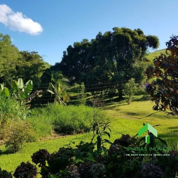 Sitio com 2 Casas, Piscina, Área Gourmet, Pasto, Plantio de Eucalipto com 16 Alqueires: 4ª foto da galeria de imagens do imóvel