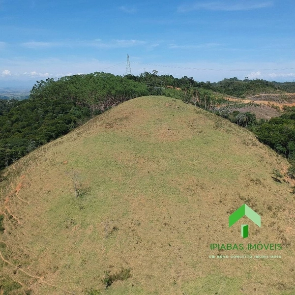 Sitio com 2 Casas, Piscina, Área Gourmet, Pasto, Plantio de Eucalipto com 16 Alqueires: 17ª foto da galeria de imagens do imóvel