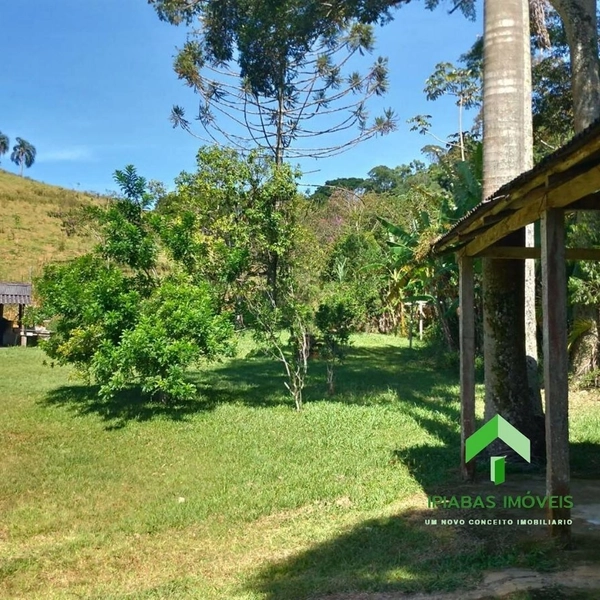 Sitio com 2 Casas, Piscina, Área Gourmet, Pasto, Plantio de Eucalipto com 16 Alqueires: 7ª foto da galeria de imagens do imóvel