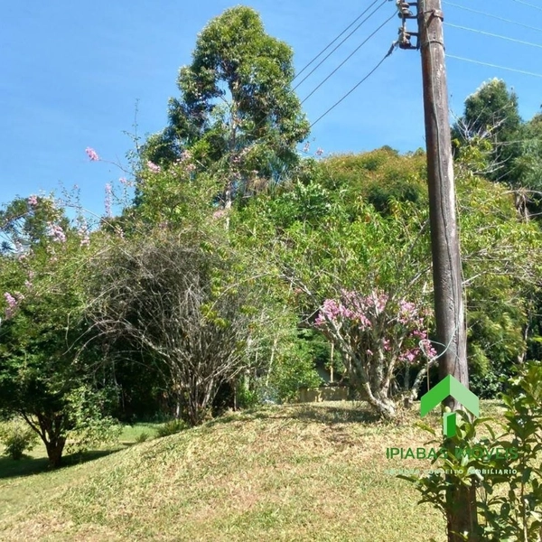 Sitio com 2 Casas, Piscina, Área Gourmet, Pasto, Plantio de Eucalipto com 16 Alqueires: 11ª foto da galeria de imagens do imóvel