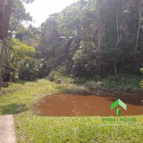 Sitio com 2 Casas, Piscina, Área Gourmet, Pasto, Plantio de Eucalipto com 16 Alqueires: 38ª foto da galeria de imagens do imóvel