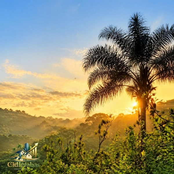 🏡 Propriedade de Alto Padrão à Venda em Ipiabas 7.000m², Lazer Completo e Alto Potencial!: 65ª foto da galeria de imagens do imóvel