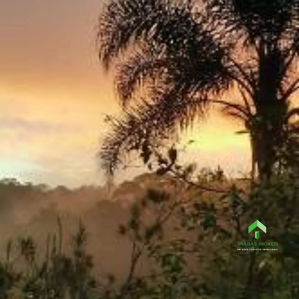 🌱 Casa á venda em Ipiabas com 5 quartos: 38ª foto da galeria de imagens do imóvel