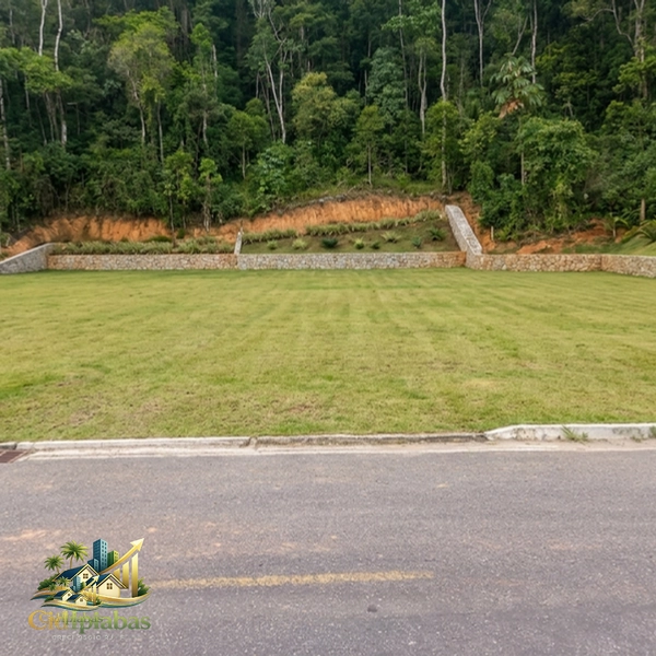  Terreno à Venda em Ipiabas – 2.900m² no Centro com Alto Potencial de Valorização: 3ª foto da galeria de imagens do imóvel