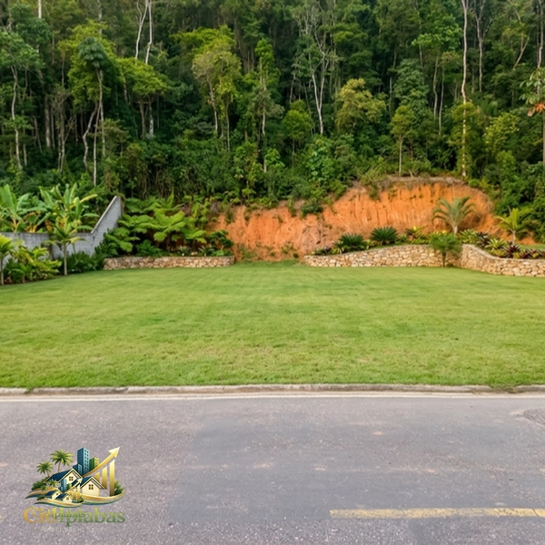  Terreno à Venda em Ipiabas – 2.900m² no Centro com Alto Potencial de Valorização: 4ª foto da galeria de imagens do imóvel