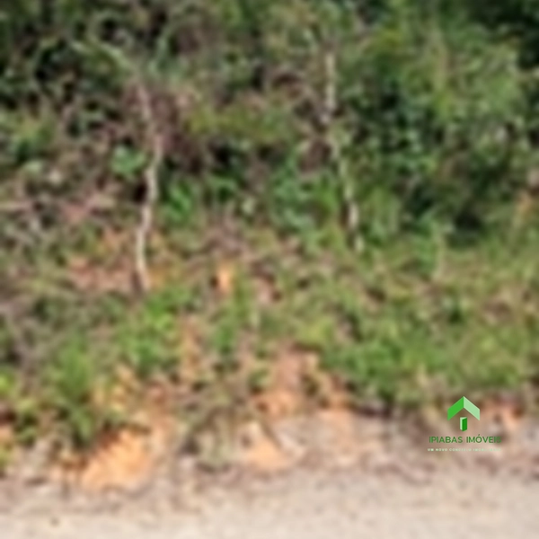 🌱 Terreno a venda em Ipiabas, com 1200 m2.: 2ª foto da galeria de imagens do imóvel