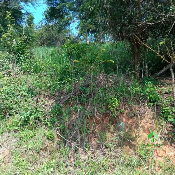🌱 Terreno a venda em Ipiabas, com 1200 m2.: 3ª foto da galeria de imagens do imóvel