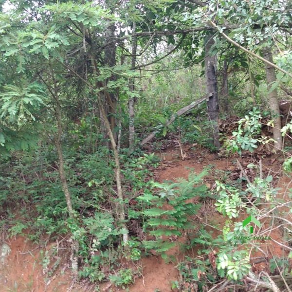 🌱 Terreno a venda em Ipiabas, com 1200 m2.: 5ª foto da galeria de imagens do imóvel