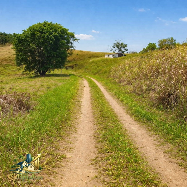 🌿 **EASY LIFE EM CONSERVATÓRIA — 20.000m² PARA VIVER OU EMPREENDER** 🏡✨: 4ª foto da galeria de imagens do imóvel