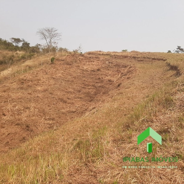 🌱 Terreno á venda em Conservatória com 20.000 m²: 15ª foto da galeria de imagens do imóvel