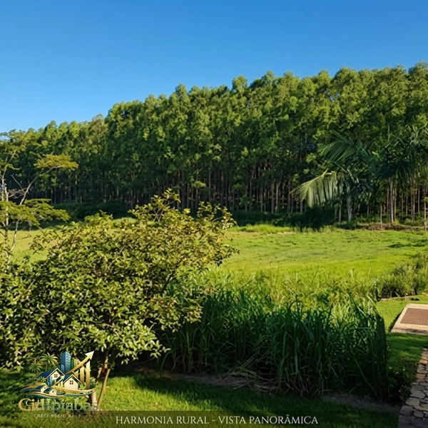 🌿 Fazenda Produtiva à Venda em Ipiabas : 23ª foto da galeria de imagens do imóvel