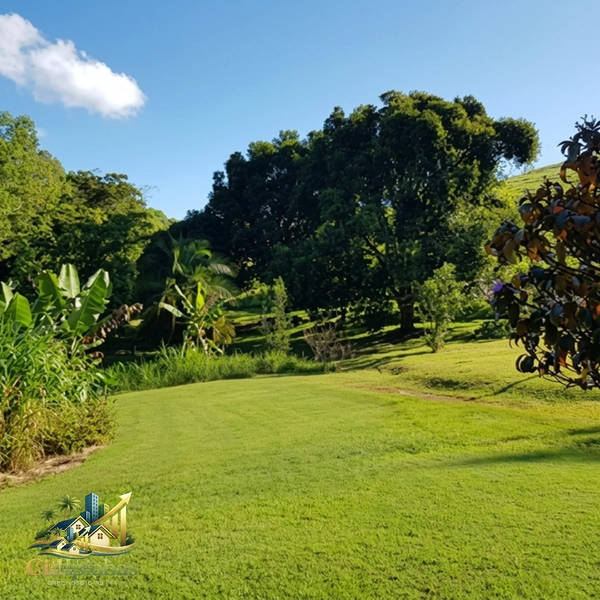 🌿 Fazenda Produtiva à Venda em Ipiabas : 28ª foto da galeria de imagens do imóvel
