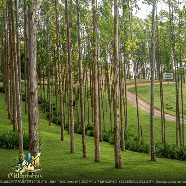 🌿 Fazenda Produtiva à Venda em Ipiabas : 38ª foto da galeria de imagens do imóvel