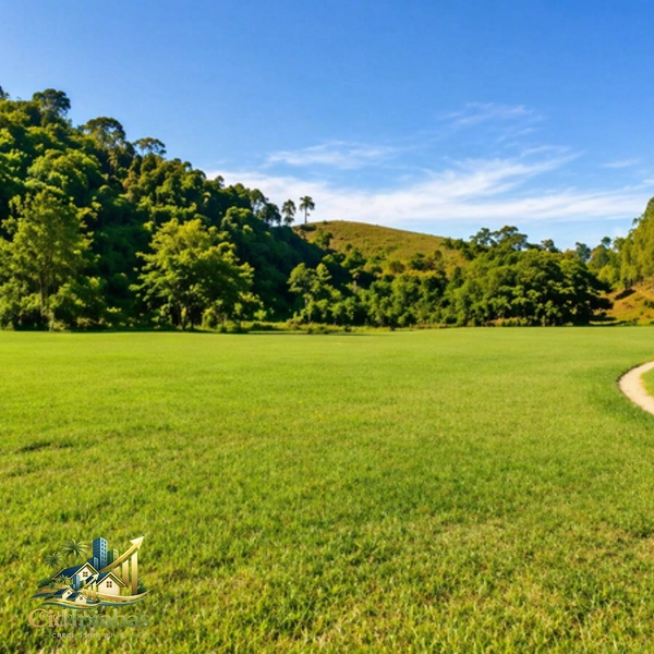 🌿 Fazenda Produtiva à Venda em Ipiabas : 29ª foto da galeria de imagens do imóvel