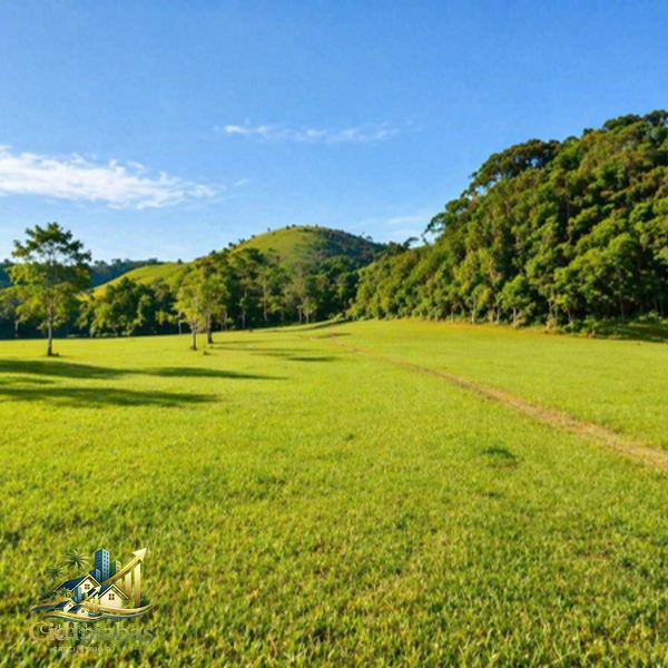 🌿 Fazenda Produtiva à Venda em Ipiabas : 31ª foto da galeria de imagens do imóvel