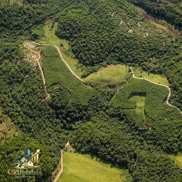 🌿 Fazenda Produtiva à Venda em Ipiabas : 35ª foto da galeria de imagens do imóvel