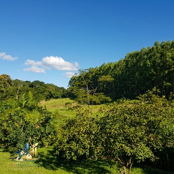 🌿 Fazenda Produtiva à Venda em Ipiabas : 26ª foto da galeria de imagens do imóvel