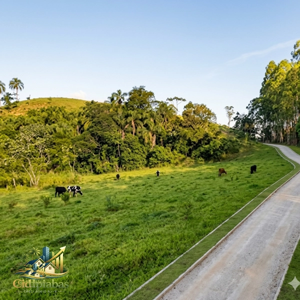 🌿 Fazenda Produtiva à Venda em Ipiabas : 25ª foto da galeria de imagens do imóvel