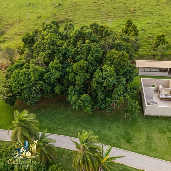 🌿 Fazenda Produtiva à Venda em Ipiabas : 22ª foto da galeria de imagens do imóvel