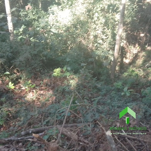 🌱 Terreno em Ipiabas, com 587 m2: 3ª foto da galeria de imagens do imóvel