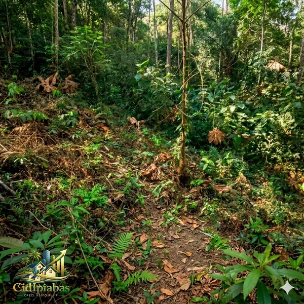 Terreno à Venda em Ipiabas – Vale Verde 1 | 587m² Plano com Infraestrutura Completa: 3ª foto da galeria de imagens do imóvel