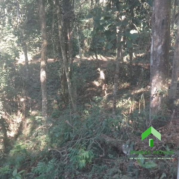 🌱 Terreno em Ipiabas, com 587 m2: 7ª foto da galeria de imagens do imóvel