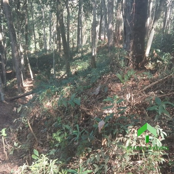🌱 Terreno em Ipiabas, com 587 m2: 4ª foto da galeria de imagens do imóvel