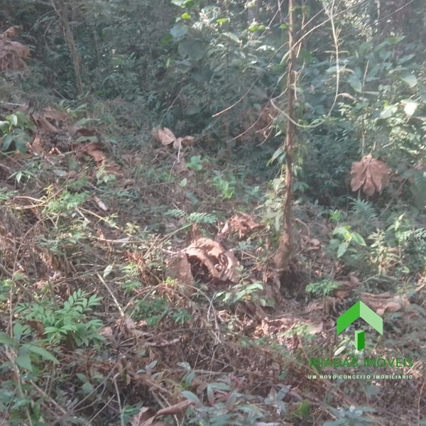 🌱 Terreno em Ipiabas, com 587 m2: 2ª foto da galeria de imagens do imóvel