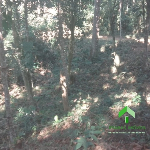 🌱 Terreno em Ipiabas, com 587 m2: 1ª foto da galeria de imagens do imóvel