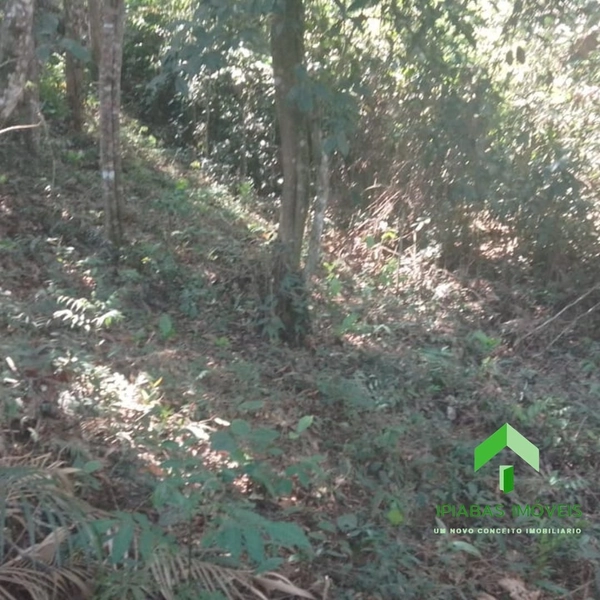 🌱 Terreno em Ipiabas, com 587 m2: 5ª foto da galeria de imagens do imóvel