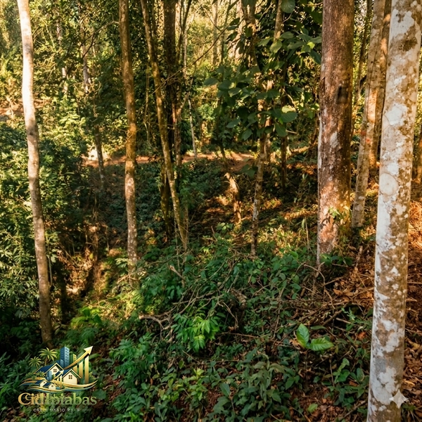 Terreno à Venda em Ipiabas – Vale Verde 1 | 587m² Plano com Infraestrutura Completa: 4ª foto da galeria de imagens do imóvel
