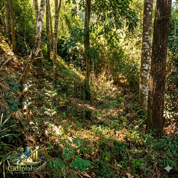 Terreno à Venda em Ipiabas – Vale Verde 1 | 587m² Plano com Infraestrutura Completa: 2ª foto da galeria de imagens do imóvel
