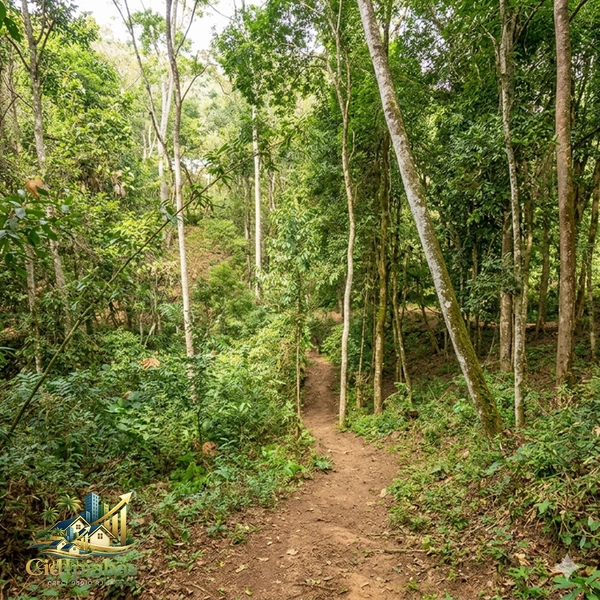 Terreno à Venda em Ipiabas – Vale Verde 1 | 587m² Plano com Infraestrutura Completa: 8ª foto da galeria de imagens do imóvel
