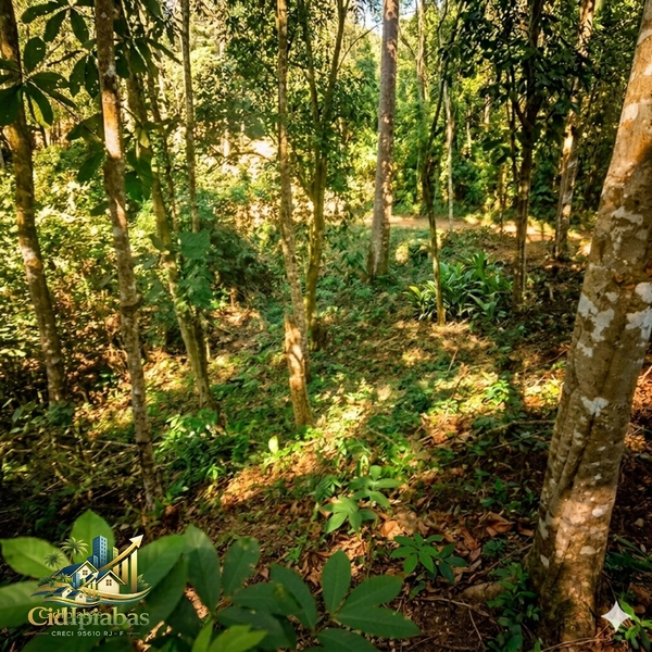 Terreno à Venda em Ipiabas – Vale Verde 1 | 587m² Plano com Infraestrutura Completa: 6ª foto da galeria de imagens do imóvel