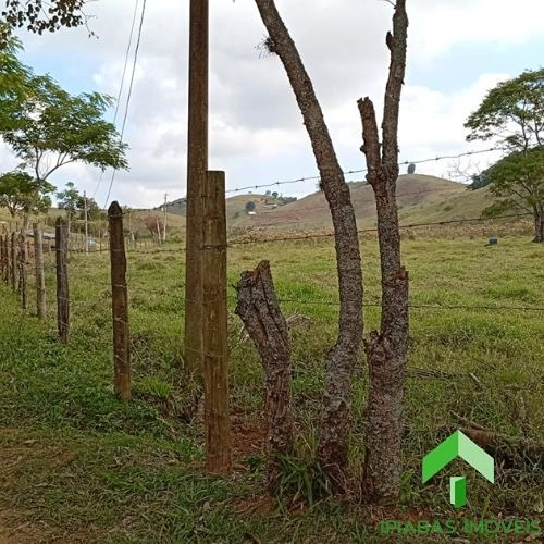 🌱 Terreno à venda em Ipiabas com 32.000 m²: 12ª foto da galeria de imagens do imóvel