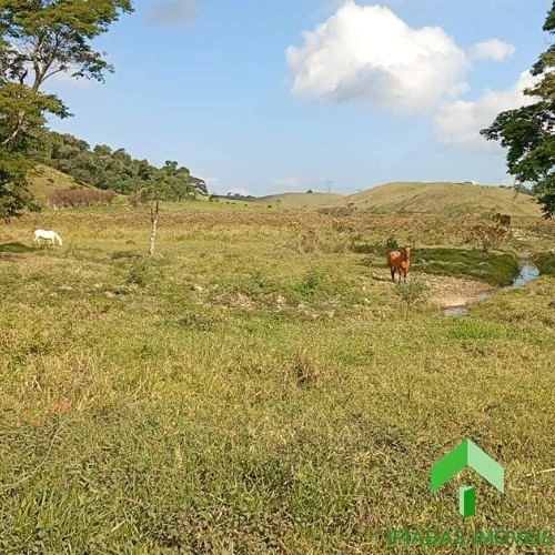 🌱 Terreno à venda em Ipiabas com 32.000 m²: 8ª foto da galeria de imagens do imóvel