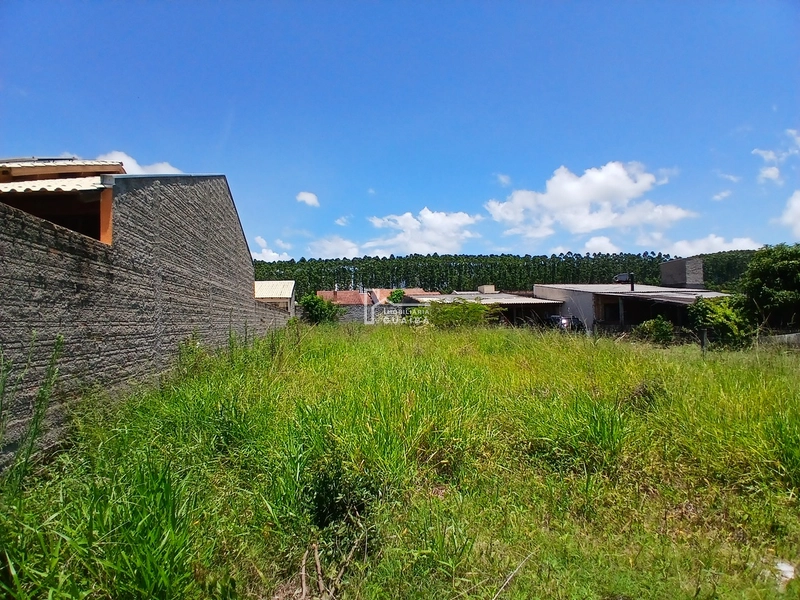 Terreno para Venda: 6ª foto da galeria de imagens do imóvel