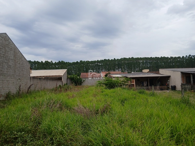 Terreno para Venda: 5ª foto da galeria de imagens do imóvel