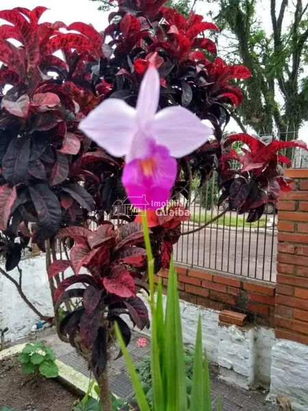 CASA EM EXCELENTE LOCALIZAÇÃO - BAIRRO FÁTIMA: 6ª foto da galeria de imagens do imóvel