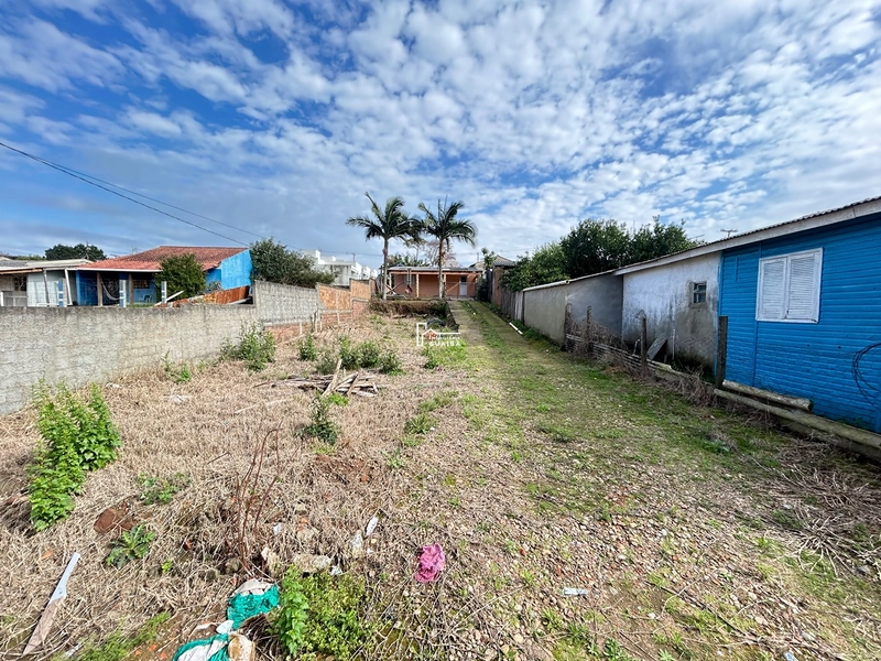 AMPLO TERRENO NA PARTE ALTA DO BAIRRO : 9ª foto da galeria de imagens do imóvel