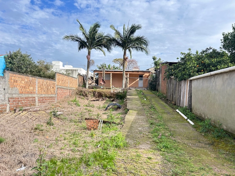 AMPLO TERRENO NA PARTE ALTA DO BAIRRO : 10ª foto da galeria de imagens do imóvel