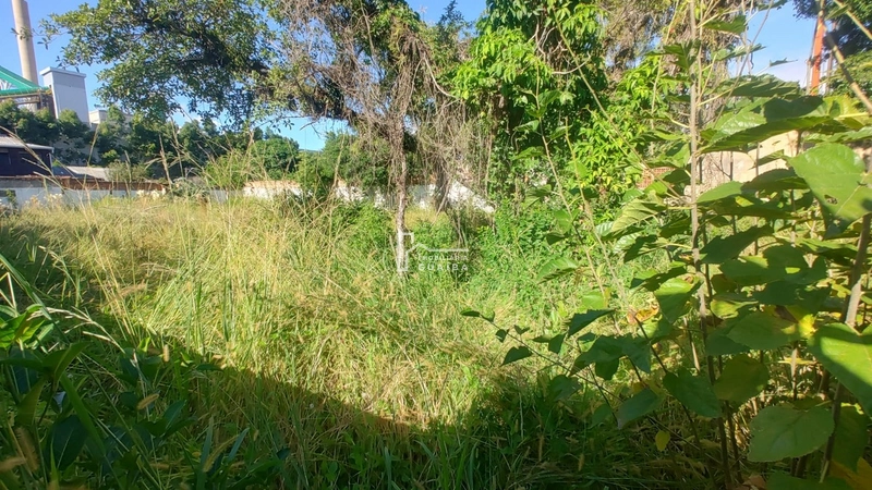 Terreno na Alegria: 2ª foto da galeria de imagens do imóvel