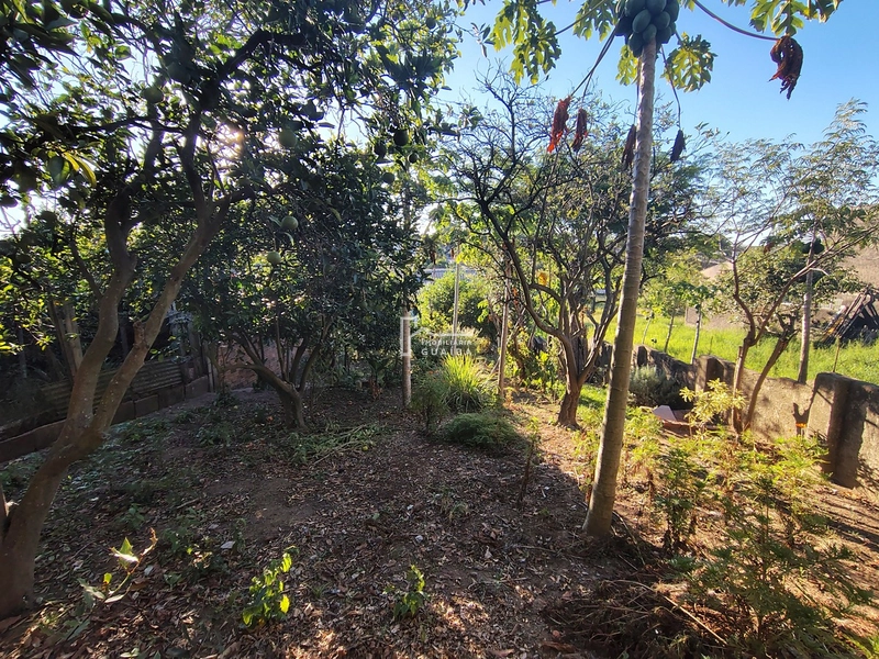 CASA COM 3 DORMITÓRIOS  NO BAIRRO CEL NASSUCA , Guaíba .: 11ª foto da galeria de imagens do imóvel