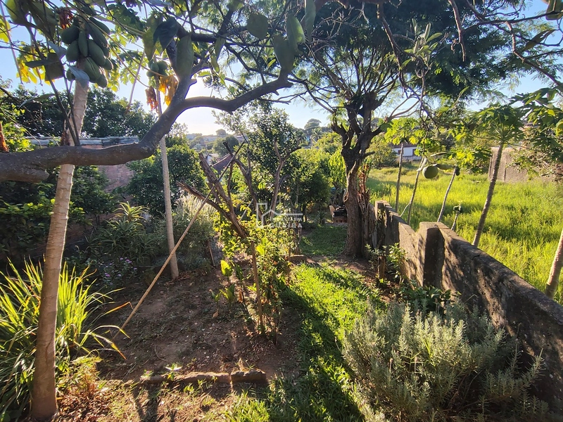 CASA COM 3 DORMITÓRIOS  NO BAIRRO CEL NASSUCA , Guaíba .: 24ª foto da galeria de imagens do imóvel
