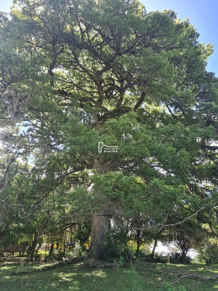 Paraiso particular: 14ª foto da galeria de imagens do imóvel