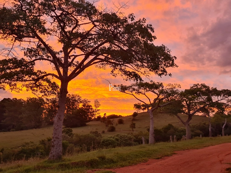 Paraiso particular: 16ª foto da galeria de imagens do imóvel